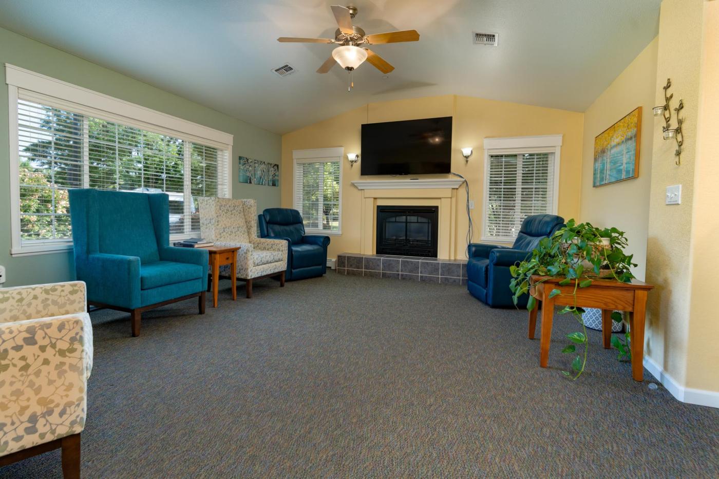 Second living room with plants, chairs, and a TV
